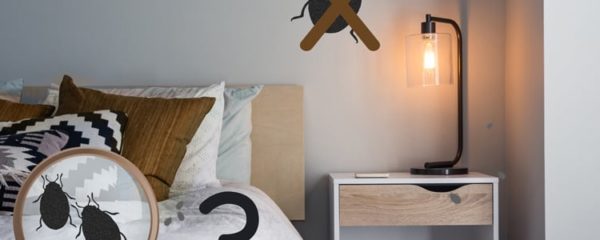 Désinsectisation de puces
